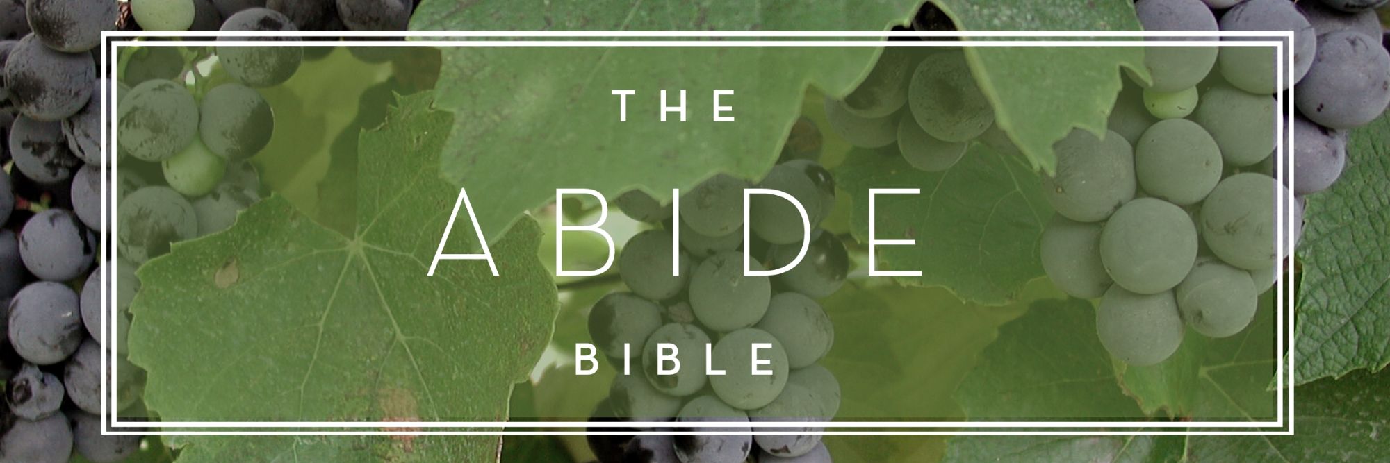 Abide-Bible