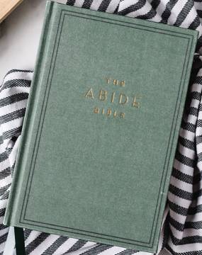Photo of the NKJV Abide Bible green cover