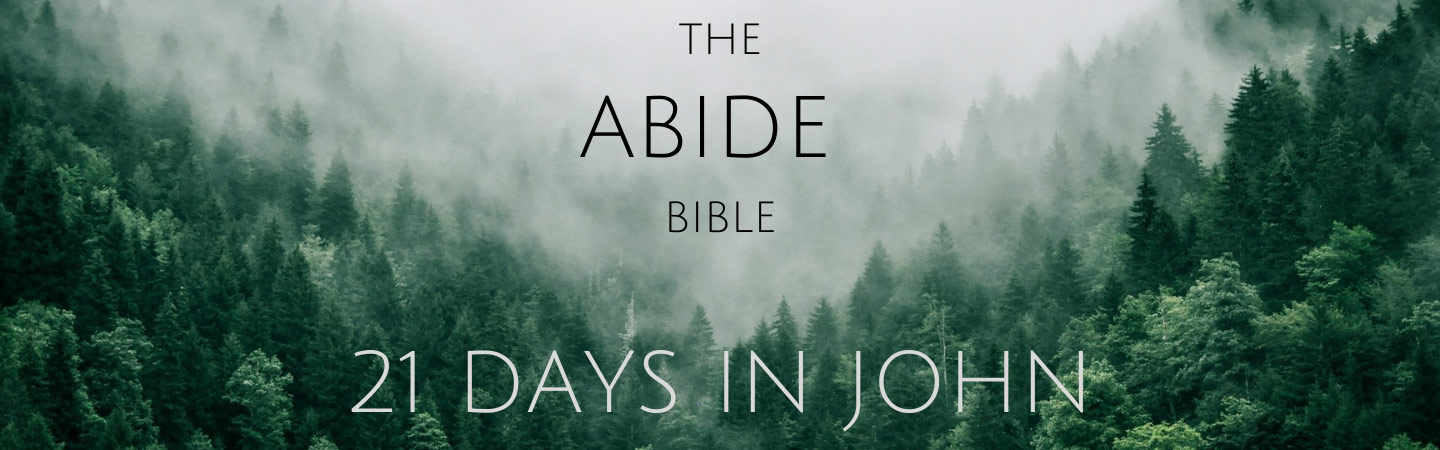 The Abide Bible 21 Days in John